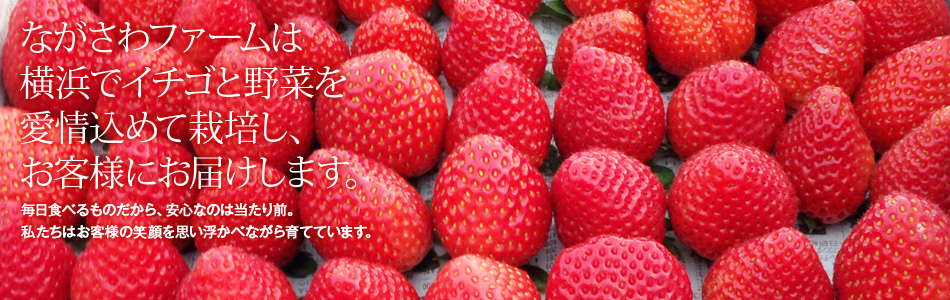ながさわファームは、横浜でイチゴと野菜を愛情込めて栽培し、お客様にお届けします。