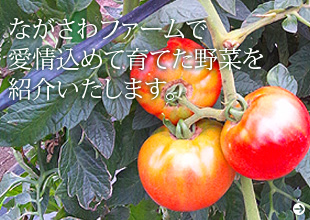 ながさわファームで愛情込めて育てた野菜を紹介いたします。